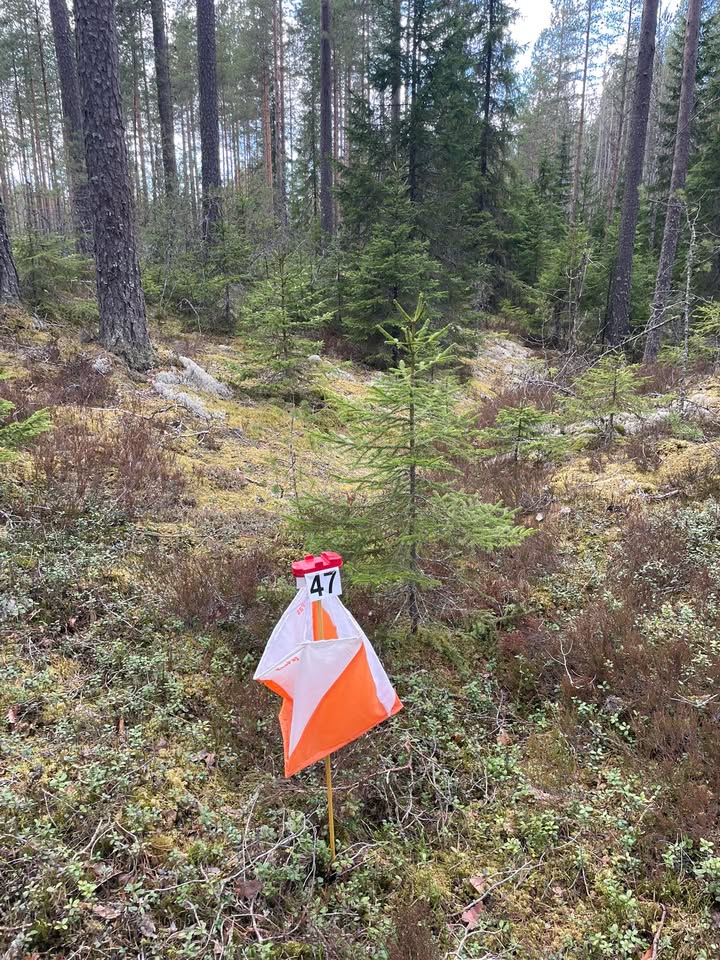 Kauhajoen Karhu Suunnistus