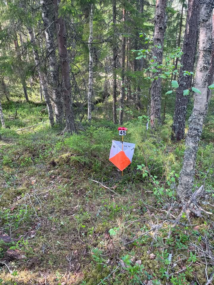 Kauhajoen Karhu Suunnistus