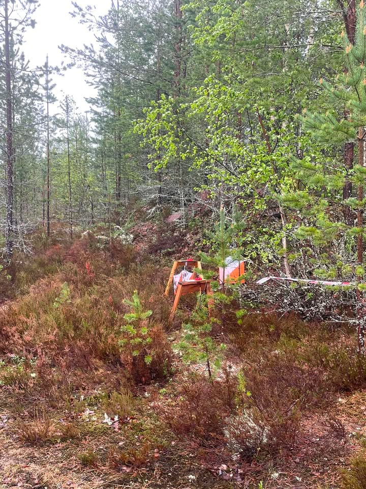 Kauhajoen Karhu Suunnistus